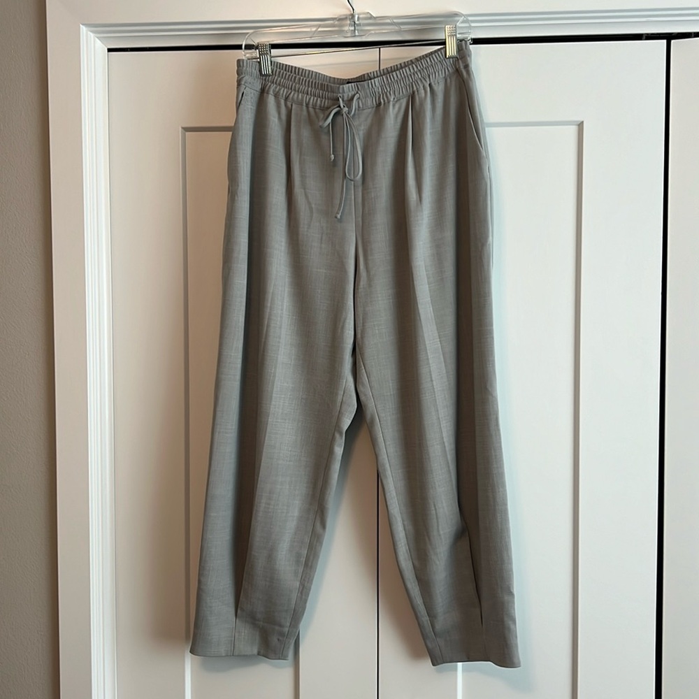 Express Tapered Dress Pants